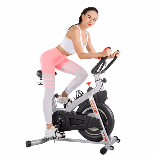 Vélo de spinning d’exercice professionnel pour un usage domestique