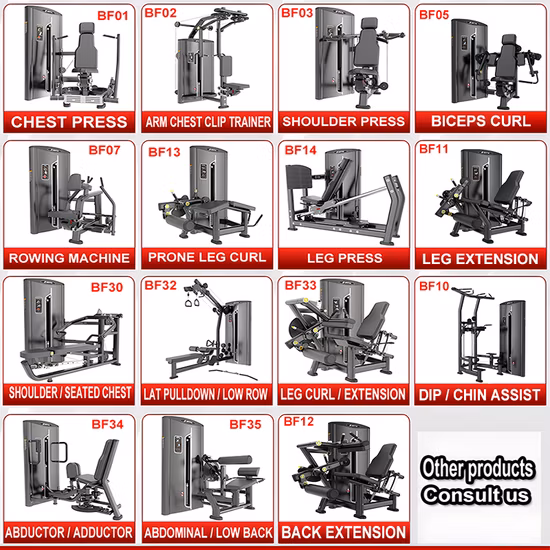 Équipement d'entraînement de qualité supérieure, musculation, fitness, robuste, poids assisté, combo DIP et menton, équipement de gymnastique à double fonction pour un usage domestique et commercial