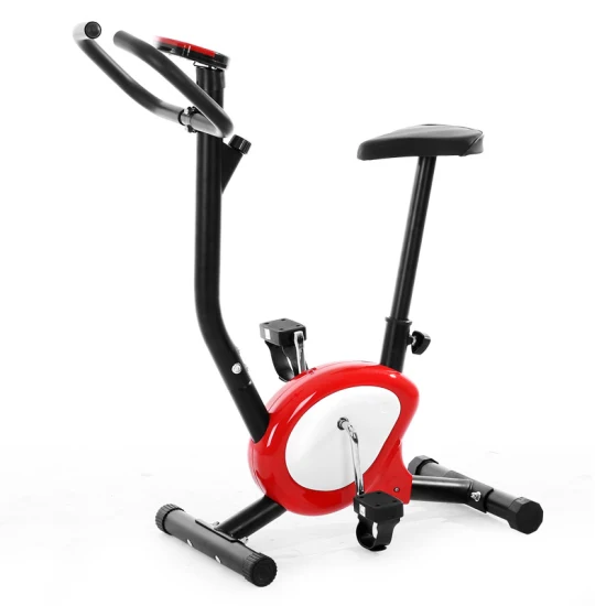 Vélo d'exercice de fitness en salle de gym à domicile X Belt Bike Vélo magnétique avec pédale Équipement de sport Courroie d'entraînement Usage domestique Spin Bike Résistance Cyclisme